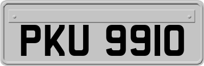 PKU9910