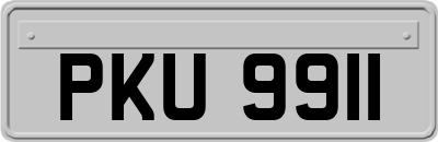 PKU9911