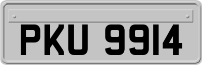 PKU9914