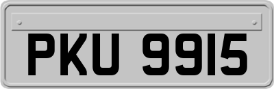 PKU9915