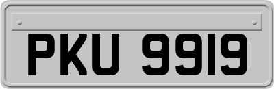 PKU9919