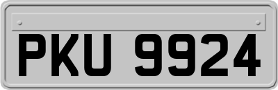 PKU9924