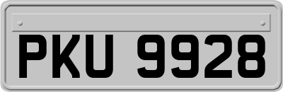 PKU9928