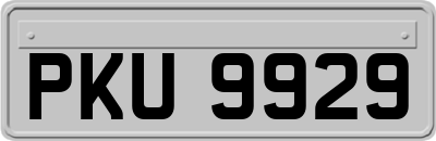 PKU9929