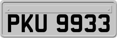 PKU9933
