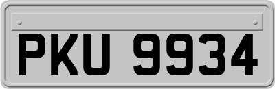 PKU9934