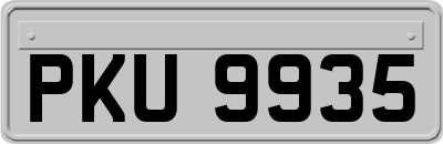 PKU9935