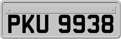 PKU9938