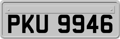 PKU9946