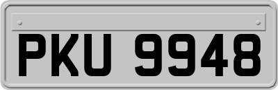 PKU9948