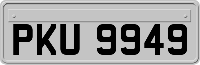 PKU9949