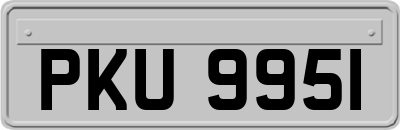 PKU9951