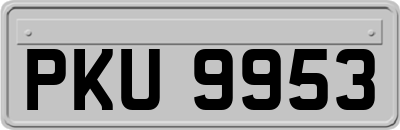 PKU9953