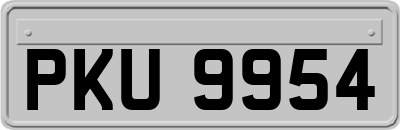 PKU9954