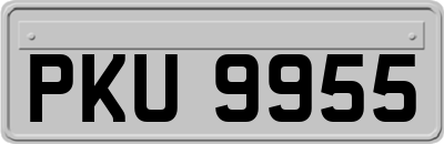 PKU9955