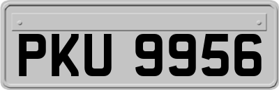 PKU9956