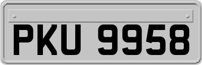 PKU9958