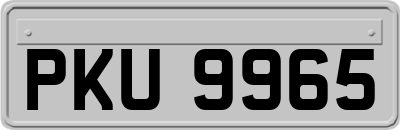 PKU9965