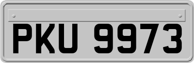 PKU9973