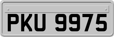 PKU9975