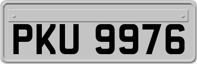 PKU9976