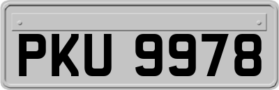 PKU9978