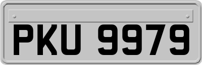 PKU9979