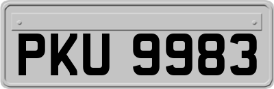 PKU9983