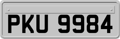 PKU9984