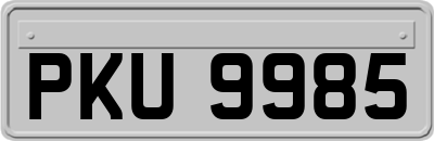 PKU9985