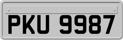 PKU9987