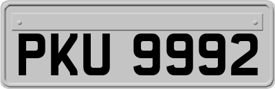 PKU9992