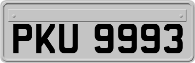 PKU9993