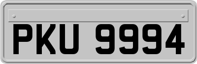 PKU9994