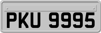 PKU9995