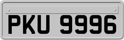 PKU9996