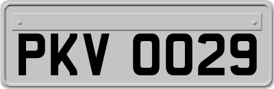 PKV0029