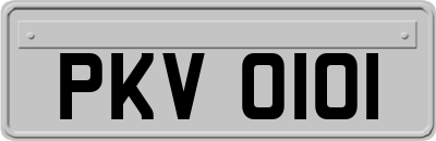 PKV0101