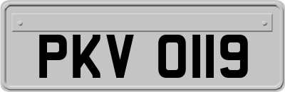 PKV0119