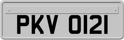 PKV0121