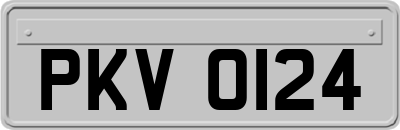 PKV0124