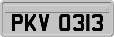 PKV0313