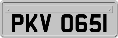 PKV0651