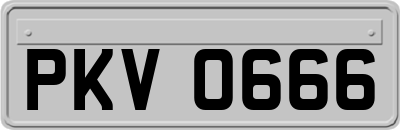 PKV0666