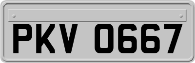 PKV0667