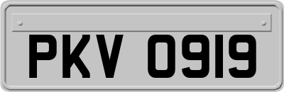 PKV0919