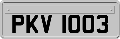 PKV1003