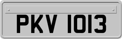 PKV1013