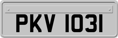 PKV1031