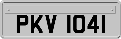 PKV1041